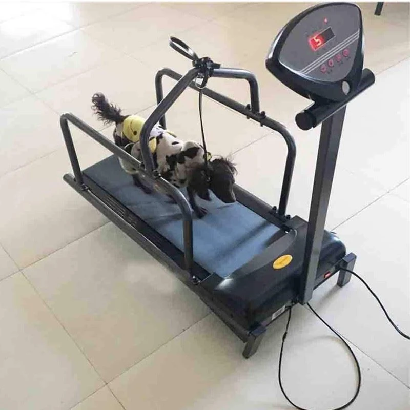 treadmill for dogs