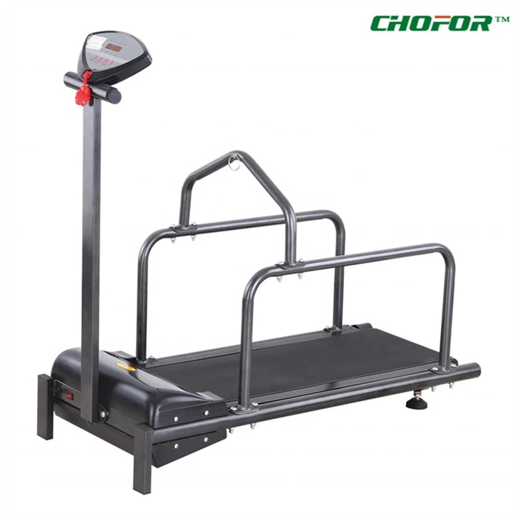 Electric Dog Treadmill