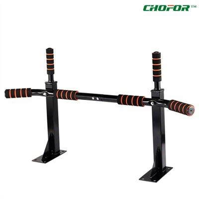 wall mounted gym bar